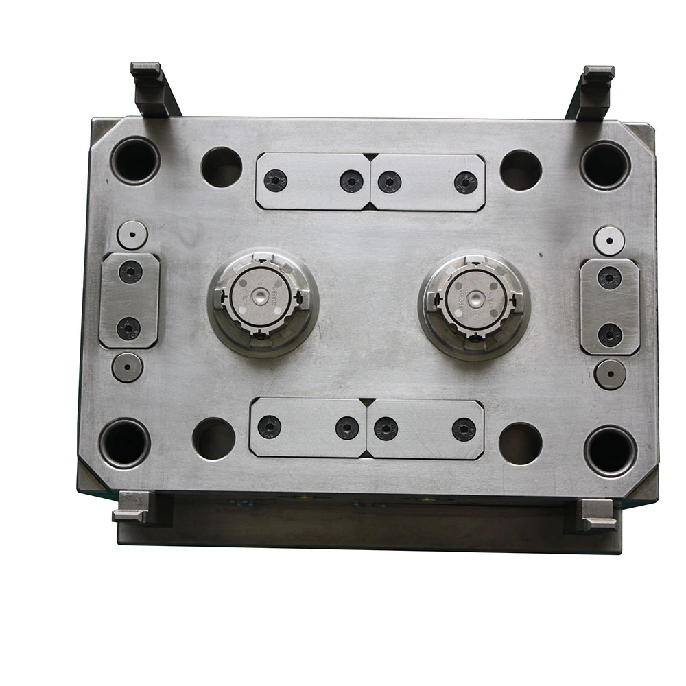 ABS Plastic Injection Mold